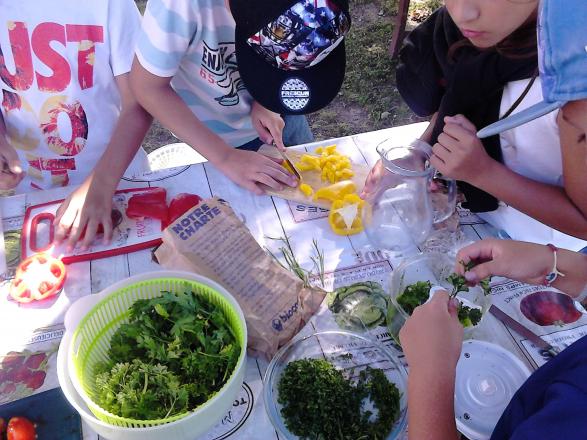 Francas-Atelier cuisine vivante et créative