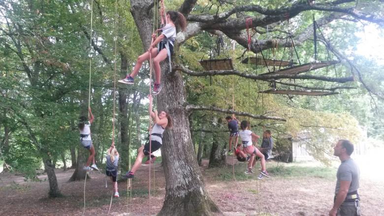 Accrobranche à Fargues St Hilaire