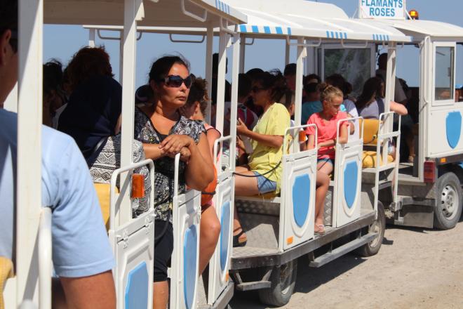 visite des salins en petit train